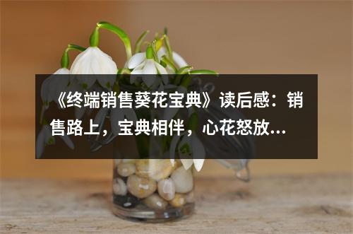 《終端銷售葵花寶典》讀后感：銷售路上，寶典相伴，心花怒放 (800字)