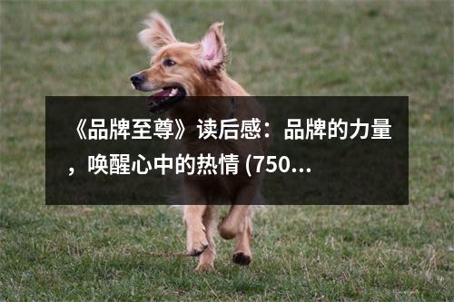 《品牌至尊》讀后感：品牌的力量，喚醒心中的熱情 (750字)