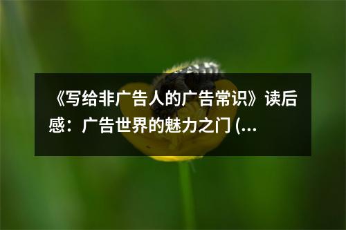 《寫給非廣告人的廣告常識》讀后感：廣告世界的魅力之門 (850字)