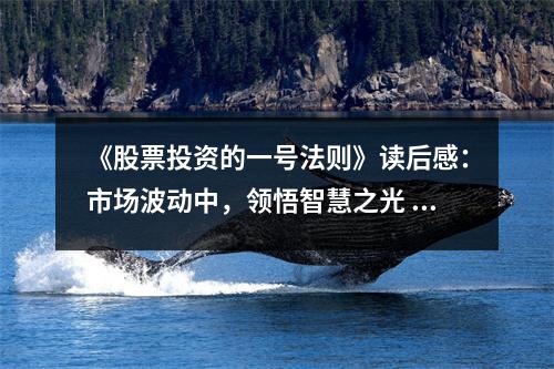 《股票投資的一號法則》讀后感：市場波動中，領(lǐng)悟智慧之光 (800字)