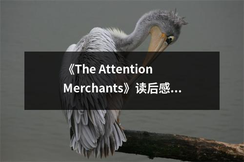 《The Attention Merchants》讀后感：數(shù)字時(shí)代下的心碎之旅 (850字)