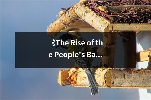 《The Rise of the People's Bank of China》讀后感：見證中國金融崛起的輝煌歷程 (950字)
