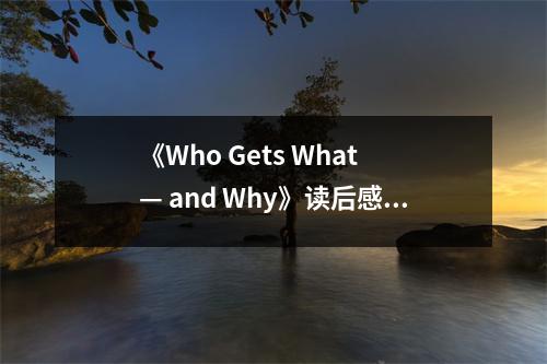 《Who Gets What — and Why》讀后感：揭開分配的奧秘 (1450字)