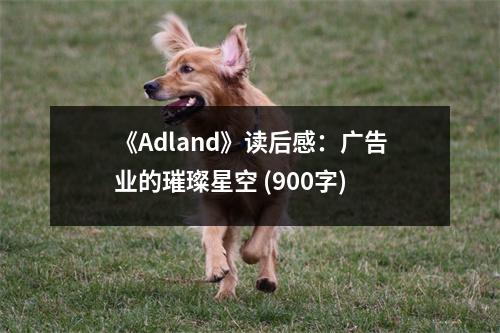 《Adland》讀后感：廣告業(yè)的璀璨星空 (900字)