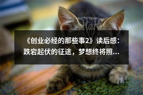 《創(chuàng)業(yè)必經(jīng)的那些事2》讀后感：跌宕起伏的征途，夢(mèng)想終將照進(jìn)現(xiàn)實(shí) (850字)