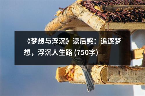 《夢想與浮沉》讀后感：追逐夢想，浮沉人生路 (750字)