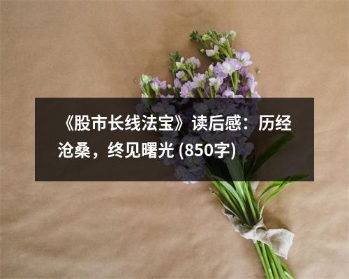 《股市長線法寶》讀后感：歷經(jīng)滄桑，終見曙光 (850字)