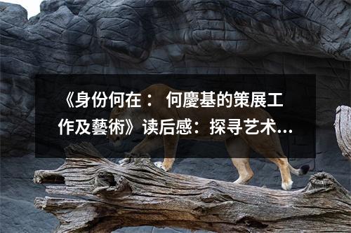 《身份何在 ： 何慶基的策展工作及藝術(shù)》讀后感：探尋藝術(shù)靈魂的永恒印記 (1000字)