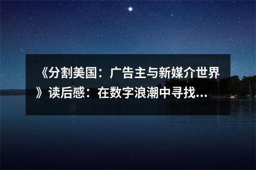 《分割美國：廣告主與新媒介世界》讀后感：在數(shù)字浪潮中尋找共鳴 (1000字)
