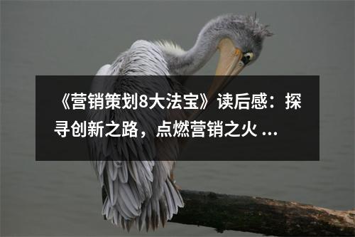 《營(yíng)銷策劃8大法寶》讀后感：探尋創(chuàng)新之路，點(diǎn)燃營(yíng)銷之火 (1200字)
