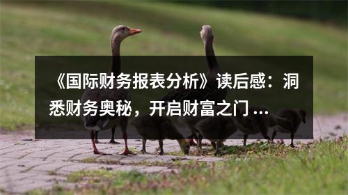 《國際財務(wù)報表分析》讀后感：洞悉財務(wù)奧秘，開啟財富之門 (800字)