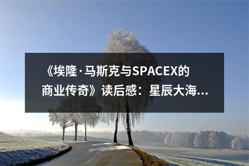《埃隆·馬斯克與SPACEX的商業(yè)傳奇》讀后感：星辰大海，逐夢未來 (700字)