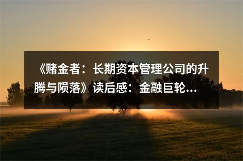 《賭金者：長期資本管理公司的升騰與隕落》讀后感：金融巨輪的悲壯沉浮 (850字)