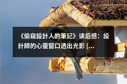 《偷窺設(shè)計(jì)人的筆記》讀后感：設(shè)計(jì)師的心靈窗口透出光影 (850字)