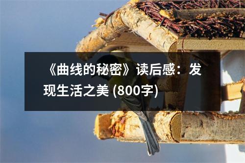 《曲線的秘密》讀后感：發(fā)現(xiàn)生活之美 (800字)