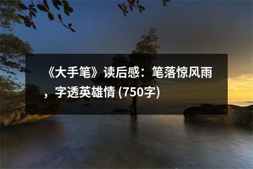 《大手筆》讀后感：筆落驚風雨，字透英雄情 (750字)