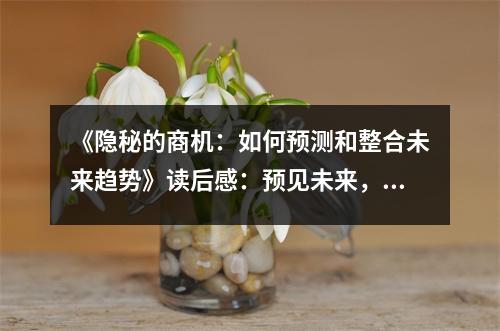 《隱秘的商機：如何預(yù)測和整合未來趨勢》讀后感：預(yù)見未來，擁抱無限可能 (600字)