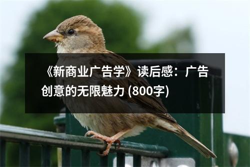 《新商業(yè)廣告學(xué)》讀后感：廣告創(chuàng)意的無限魅力 (800字)