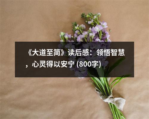 《大道至簡(jiǎn)》讀后感：領(lǐng)悟智慧，心靈得以安寧 (800字)