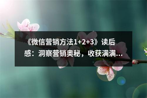 《微信營(yíng)銷方法1+2+3》讀后感：洞察營(yíng)銷奧秘，收獲滿滿驚喜 (950字)