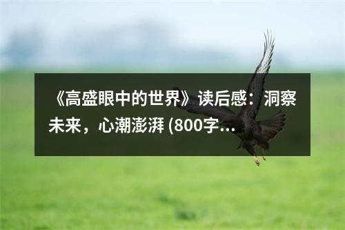 《高盛眼中的世界》讀后感：洞察未來(lái)，心潮澎湃 (800字)