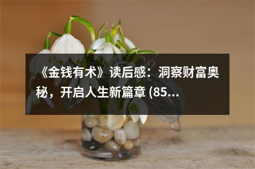 《金錢(qián)有術(shù)》讀后感：洞察財(cái)富奧秘，開(kāi)啟人生新篇章 (850字)