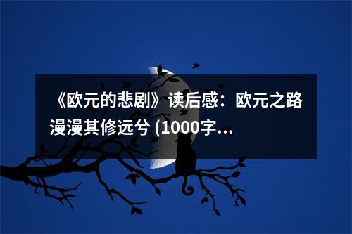 《歐元的悲劇》讀后感：歐元之路漫漫其修遠(yuǎn)兮 (1000字)