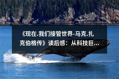 《現(xiàn)在.我們接管世界-馬克.扎克伯格傳》讀后感：從科技巨頭到世界引領(lǐng)者，夢想照亮前行之路 (800字)