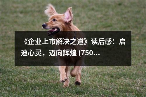 《企業(yè)上市解決之道》讀后感：啟迪心靈，邁向輝煌 (750字)