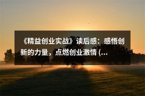 《精益創(chuàng)業(yè)實(shí)戰(zhàn)》讀后感：感悟創(chuàng)新的力量，點(diǎn)燃創(chuàng)業(yè)激情 (900字)