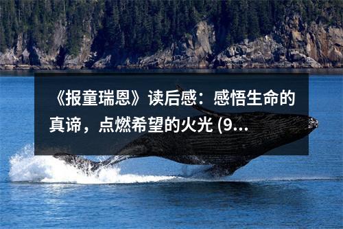 《報(bào)童瑞恩》讀后感：感悟生命的真諦，點(diǎn)燃希望的火光 (900字)