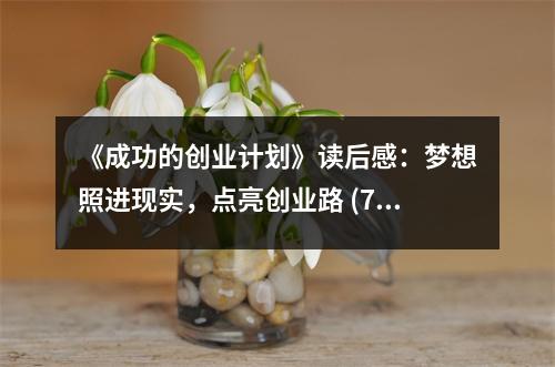 《成功的創(chuàng)業(yè)計劃》讀后感：夢想照進現(xiàn)實，點亮創(chuàng)業(yè)路 (700字)