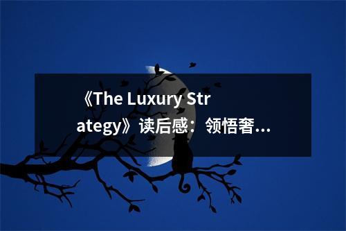 《The Luxury Strategy》讀后感：領悟奢侈背后的智慧與情懷 (1050字)