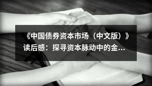 《中國債券資本市場（中文版）》讀后感：探尋資本脈動中的金融智慧 (800字)