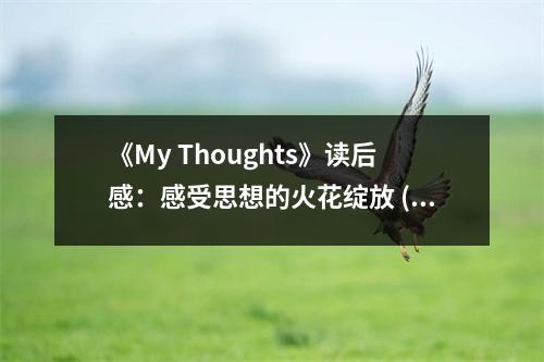 《My Thoughts》讀后感：感受思想的火花綻放 (700字)