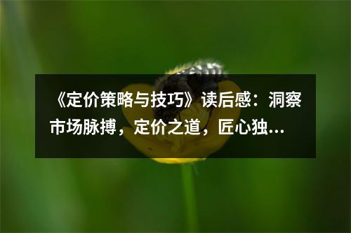 《定價(jià)策略與技巧》讀后感：洞察市場(chǎng)脈搏，定價(jià)之道，匠心獨(dú)運(yùn) (800字)