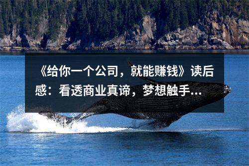 《給你一個公司，就能賺錢》讀后感：看透商業(yè)真諦，夢想觸手可及 (900字)