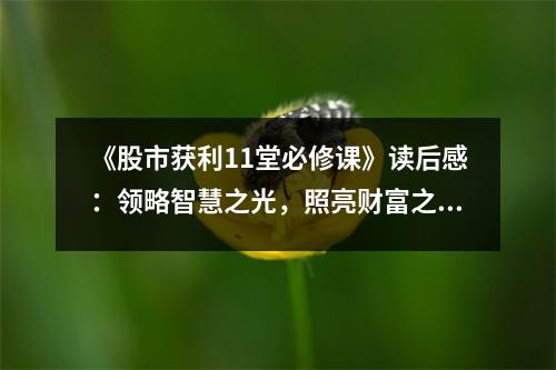 《股市獲利11堂必修課》讀后感：領(lǐng)略智慧之光，照亮財(cái)富之路 (850字)