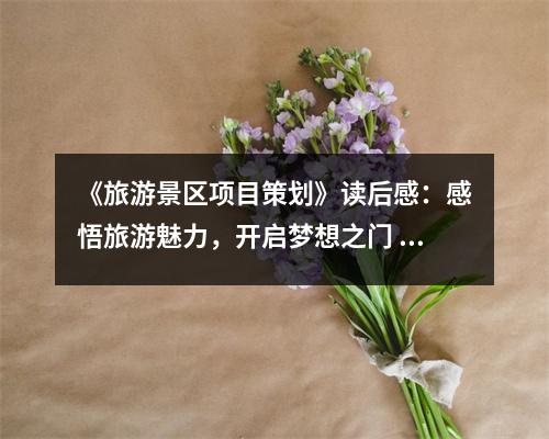 《旅游景區(qū)項目策劃》讀后感：感悟旅游魅力，開啟夢想之門 (850字)