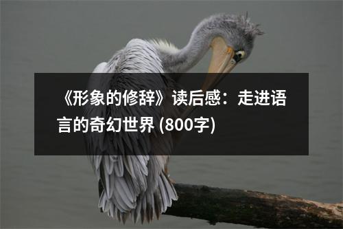 《形象的修辭》讀后感：走進(jìn)語言的奇幻世界 (800字)