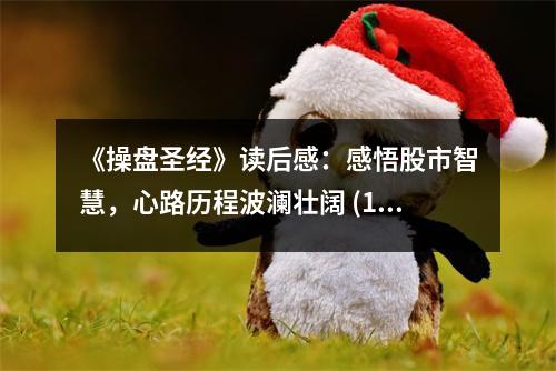 《操盤圣經(jīng)》讀后感：感悟股市智慧，心路歷程波瀾壯闊 (1050字)