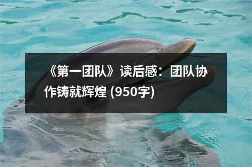 《第一團(tuán)隊(duì)》讀后感：團(tuán)隊(duì)協(xié)作鑄就輝煌 (950字)