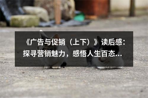 《廣告與促銷（上下）》讀后感：探尋營(yíng)銷魅力，感悟人生百態(tài) (900字)