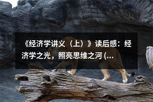 《經(jīng)濟(jì)學(xué)講義（上）》讀后感：經(jīng)濟(jì)學(xué)之光，照亮思維之河 (1050字)