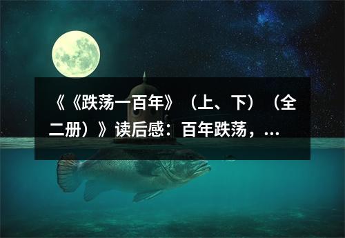 《《跌蕩一百年》（上、下）（全二冊(cè)）》讀后感：百年跌蕩，情感波瀾壯闊 (750字)