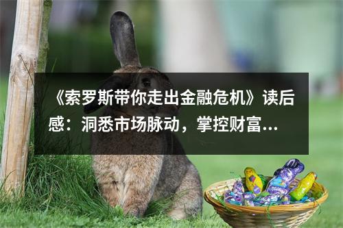 《索羅斯帶你走出金融危機(jī)》讀后感：洞悉市場(chǎng)脈動(dòng)，掌控財(cái)富未來 (750字)
