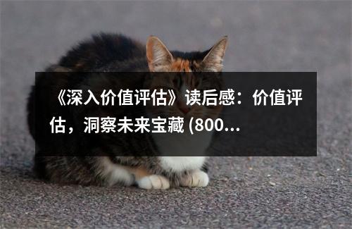 《深入價值評估》讀后感：價值評估，洞察未來寶藏 (800字)
