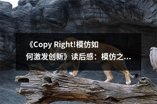 《Copy Right!模仿如何激發(fā)創(chuàng)新》讀后感：模仿之光，照亮創(chuàng)新之路 (750字)