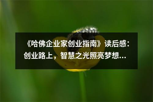 《哈佛企業(yè)家創(chuàng)業(yè)指南》讀后感：創(chuàng)業(yè)路上，智慧之光照亮夢想 (850字)