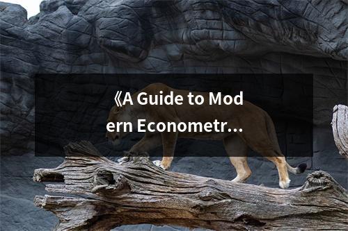 《A Guide to Modern Econometrics》讀后感：探尋經(jīng)濟(jì)學(xué)的智慧之光 (900字)